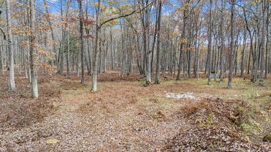 DJI_20251029110922_0120_D