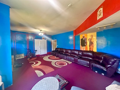 256 W Downer Place, Aurora, IL 60506 - photo 6