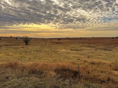 R Road unit LotWP001, Damar, KS 67632 - photo 6
