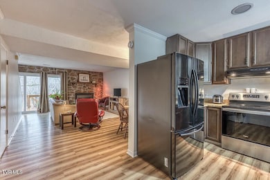 102 Point Shore Pvt Dr unit 102, Piney Flats, TN 37686 - photo 5