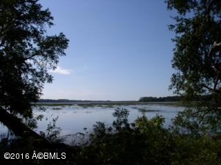 photo 3 (1)