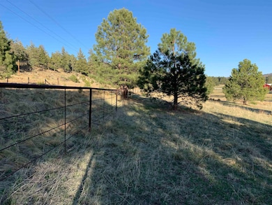 Lot 3 James Canyon Hwy unit 3, Cloudcroft, NM 88317 - photo 6