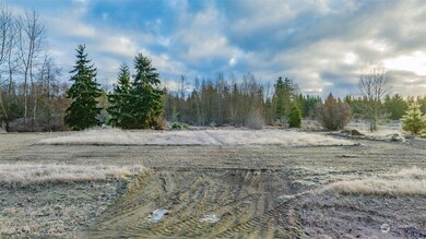 14608 Glacier Ridge Ln SE, Yelm, WA 98597 - photo 4