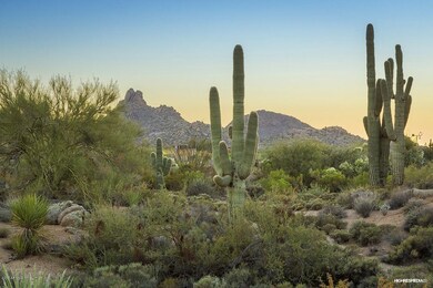 Pinnacle Peak Views