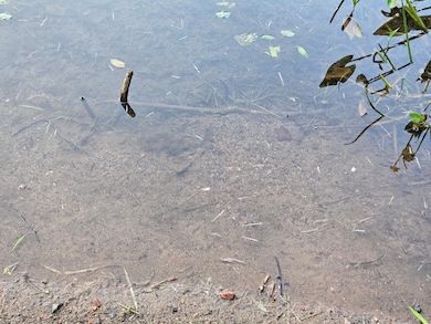 8573 Hower Rd, Minocqua, WI 54548 - photo 5