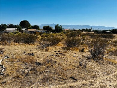 0 Acanthus St unit HD25156614, Phelan, CA 92371 - photo 6