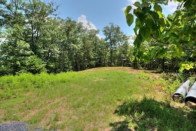 TBD Laurel Ridge Ln, Lyndhurst, VA 22952 - photo 3