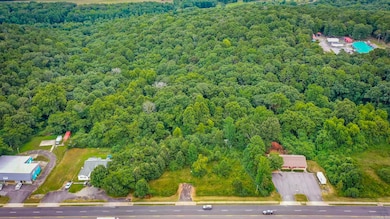 1639 Highway 65 S, Clinton, AR 72031 - photo 3