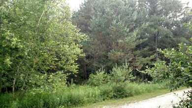 IMG_20160706_193441161