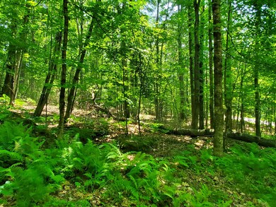 Lot 30 Middle Rd, Waterboro, ME 04087 - photo 6