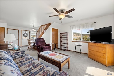 10010 Bellingham Dr, Summerset, SD 57718 - photo 4