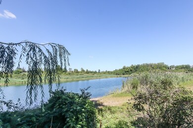 620 Lake Plumleigh Way, Algonquin, IL 60102 - photo 6