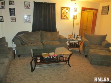 351 W Springfield St, Virginia, IL 62691 - photo 4