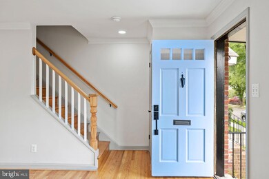 15 E Windsor Ave unit A, Alexandria, VA 22301 - photo 3