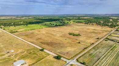 Lot 11 Pine Rd, Poolville, TX 76487 - photo 4