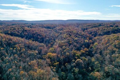 31025 Highway 263, Mountain View, AR 72560 - photo 4