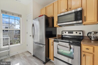 22641 Blue Elder Terrace unit 302, Ashburn, VA 20148 - photo 4