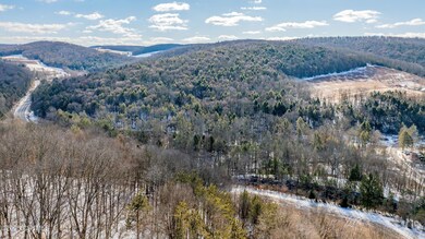 0 Salem School Rd unit 20-99406, Unityville, PA 17774 - photo 7