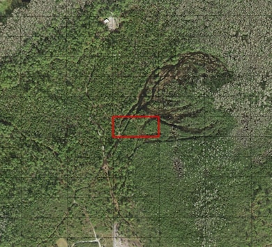 0 Holopaw Groves Rd unit F10536895, Saint Cloud, FL 34772 - photo 3