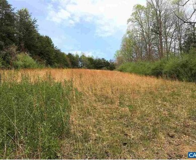 3255 Welsh Run Rd, Ruckersville, VA 22968 - photo 4