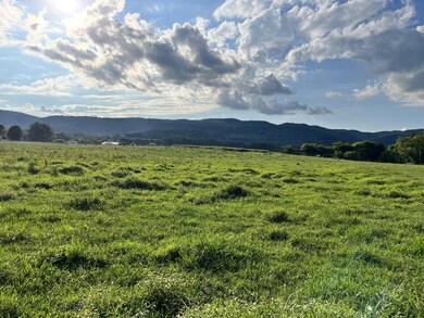 0 Old State Highway 28 unit RTC2929823, Pikeville, TN 37367 - photo 3