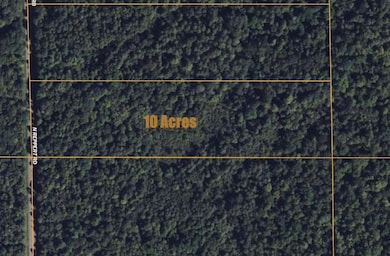5_65370053_5_1750085538