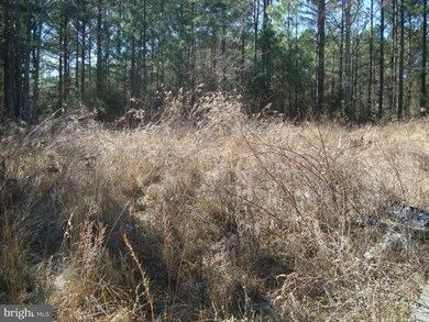 0 Governors Point Ln unit 1000184063, Unionville, VA 22567 - photo 5