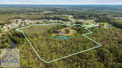 524 Wilkinson Rd NE, Ludowici, GA 31316 - photo 2