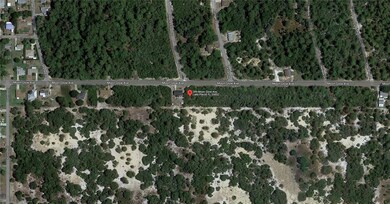 289 Moon Glow Ave, Lake Placid, FL 33852 - photo 3