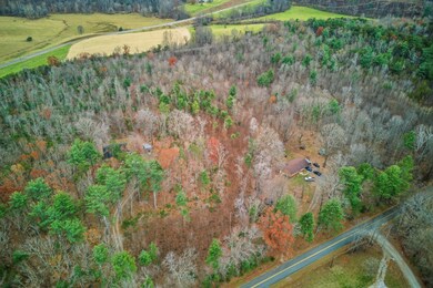 RTE 864 Old Ferrum Rd, Ferrum, VA 24088 - photo 6