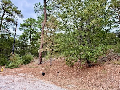 109 and 115 Olomana Ct, Bastrop, TX 78602 - photo 2