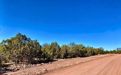 1667 Yukon Dr E unit 22, Ash Fork, AZ 86320 - photo 2