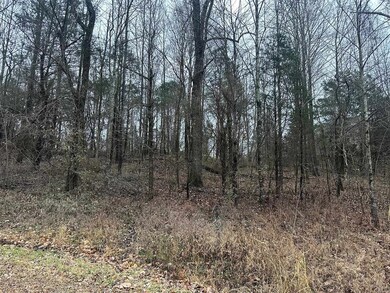 0 N Gillock Rd, Glasgow, KY 42141 - photo 2