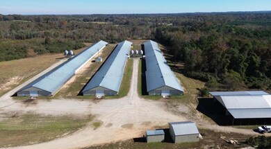 3050, Hackleburg, AL 35564 - photo 5