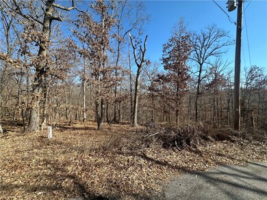 .34 Acres Carpenter Ln, Bella Vista, AR 72715 - photo 4