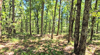 169378 Indian Hwy, Kiamichi Christian Mission, OK 74549 - photo 5