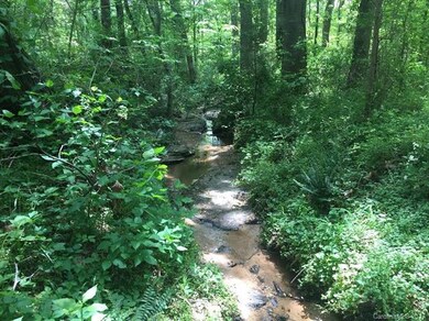 Creek along the back of the property.