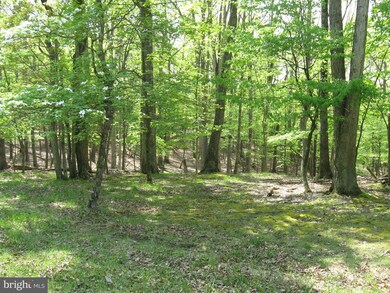 0 Tranquil Way unit WVMO115228, Great Cacapon, WV 25422 - photo 3