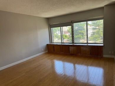 Sargent Estates unit 206, Brookline, MA 02445 - photo 3