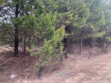 TBD Isbon- Tract 2, Whitesboro, TX 76273 - photo 5