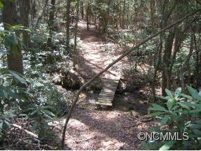 Bridge Across Branch Stream
