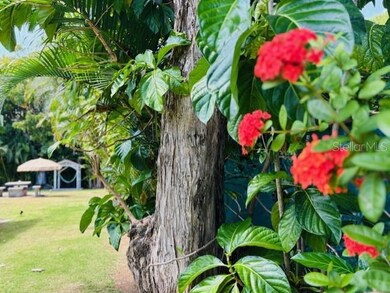 Lovely Grounds