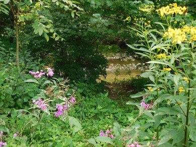 Blacklick Creek