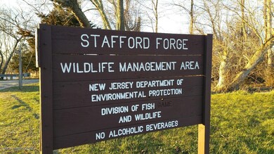 236 Forge Rd, West Creek, NJ 08092 - photo 5