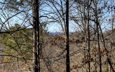 Additional View
