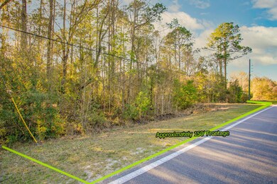 1931 County Road 13a N, Saint Augustine, FL 32092 - photo 3