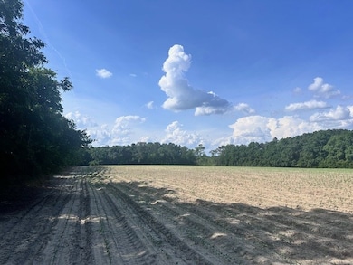 15 acres Us Highway 41, Tifton, GA 31794 - photo 3