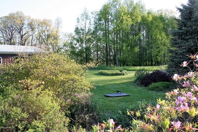 IMG_2855 (2) - Copy