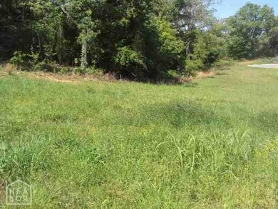 2035 Sloan Lake Dr, Jonesboro, AR 72404 - photo 2