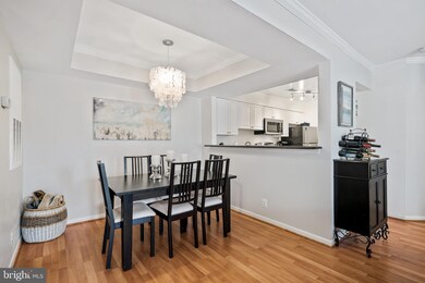 5810 Inman Park Cir unit 200, Rockville, MD 20852 - photo 4